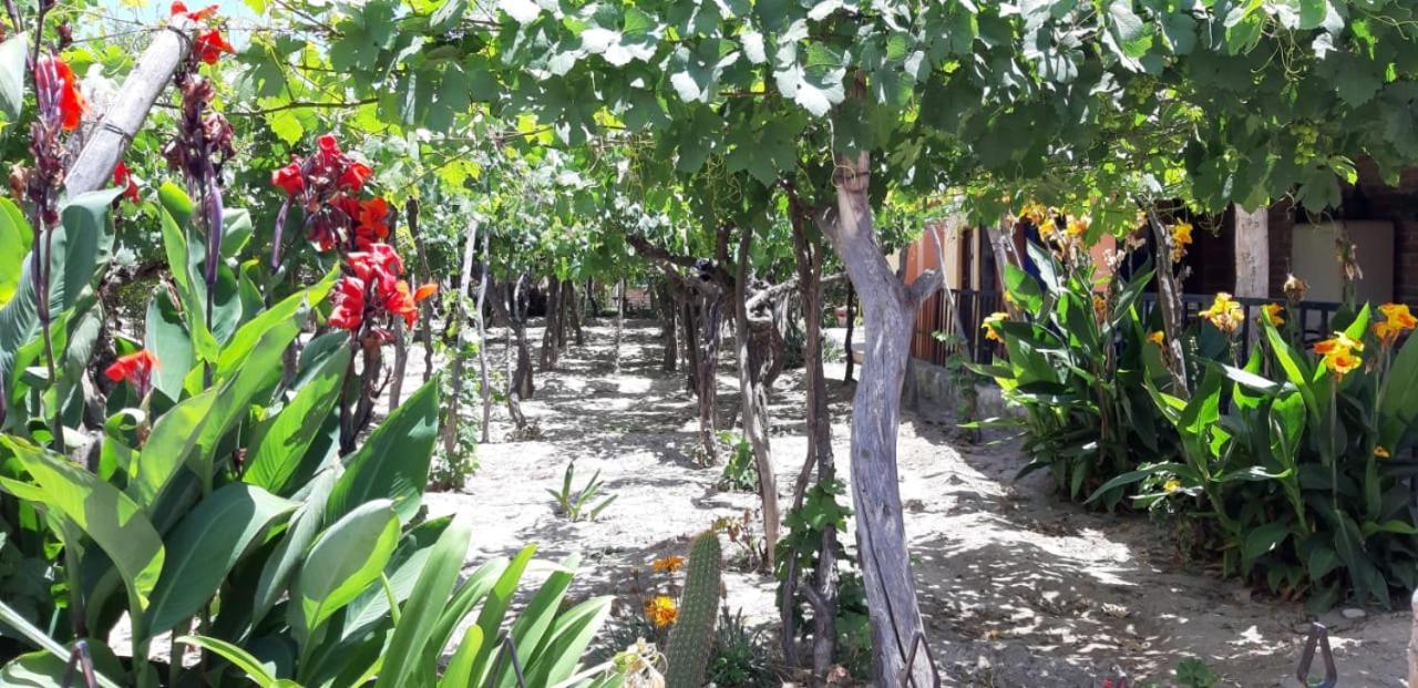 Mamaku Huasi Ξενοδοχείο Cafayate Εξωτερικό φωτογραφία
