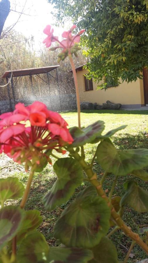 Mamaku Huasi Ξενοδοχείο Cafayate Εξωτερικό φωτογραφία