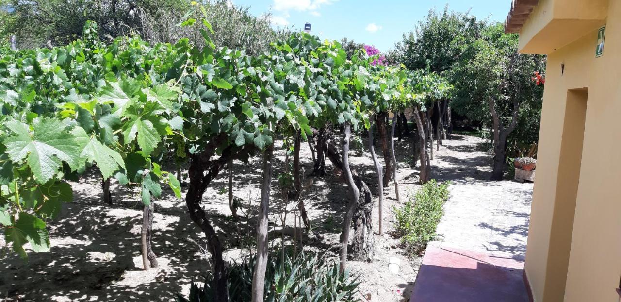 Mamaku Huasi Ξενοδοχείο Cafayate Εξωτερικό φωτογραφία