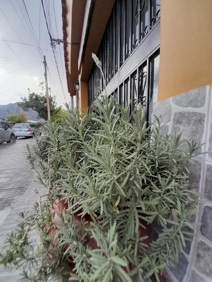 Mamaku Huasi Ξενοδοχείο Cafayate Εξωτερικό φωτογραφία